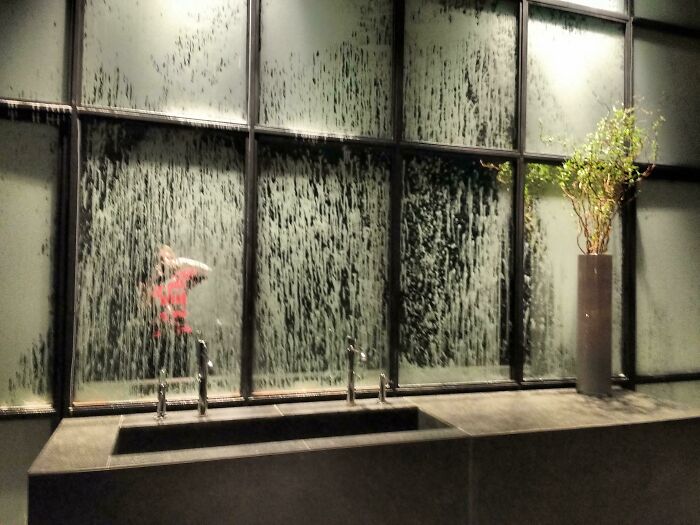 Bathroom sinks with large dirty window behind and potted plant