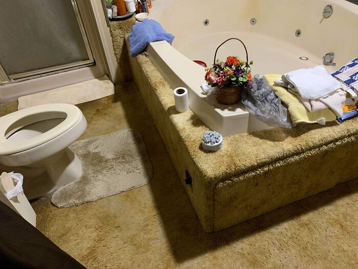 Bathroom with carpeted edge bathtub and toilet on stained carpet flooring