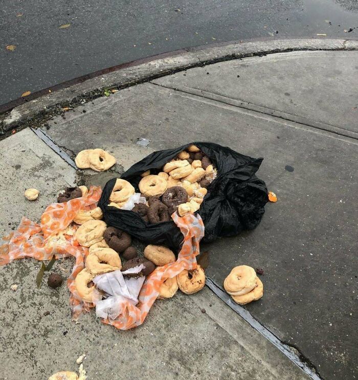 Why Do People Waste Bagels Like This? Apparently, This Is Common In Urban Areas, Whether The Bagels/Bread Are In Bags On The Ground Or Scattered On The Ground.. I Doubt These Are For The Birds.. Does This Signify Something? Who Would Do This?!?!
