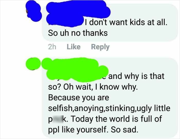 Dramatic online argument about not wanting kids with strong insults