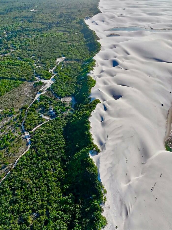 Uplifting posts: An aerial view showing a clear division between a dense green forest and vast white sand dunes.