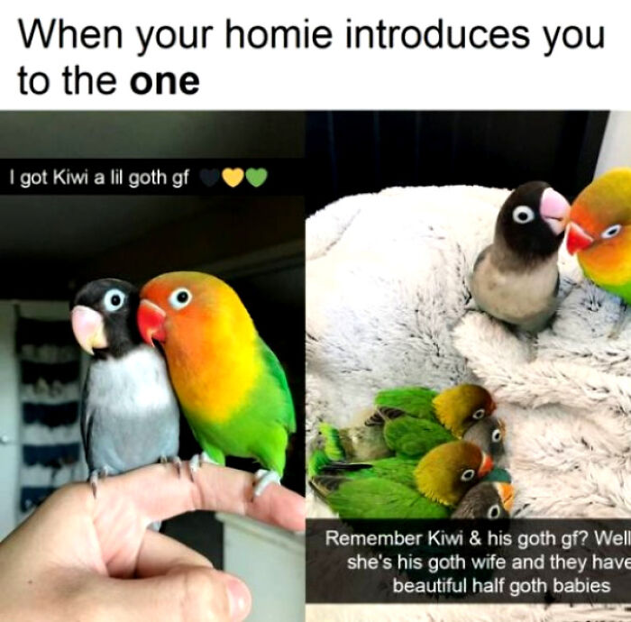 99 Wholesome Pics That Hit Harder Than A Pixar Movie