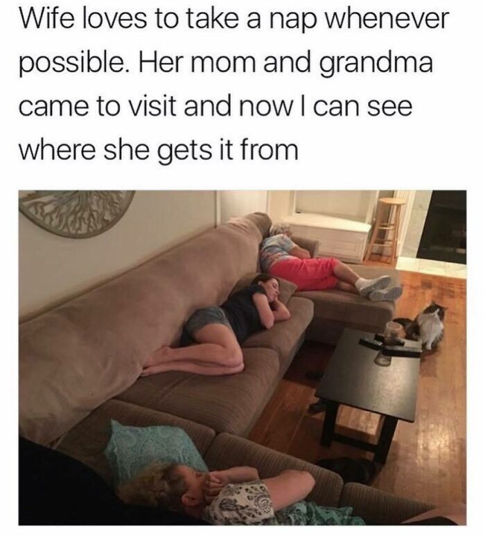 Three generations of women napping on a sofa with a cat watching nearby. A wholesome pic that hits hard.