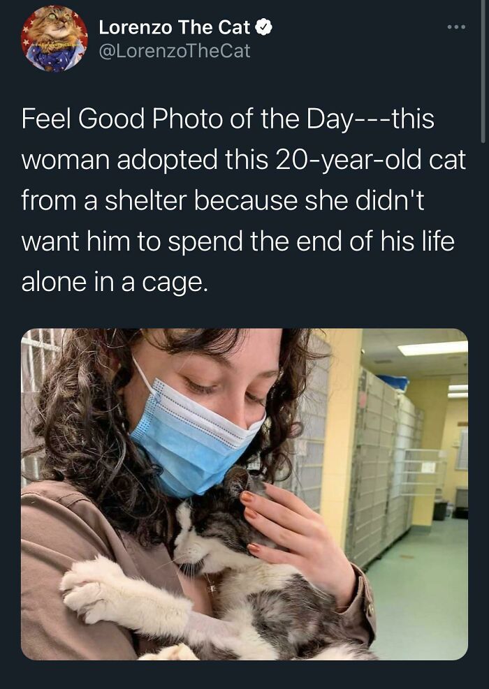 A woman in a mask hugs a 20-year-old cat, showcasing a wholesome pic from an adoption shelter.