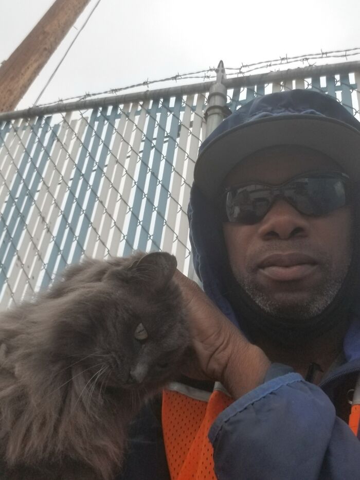 A man in sunglasses and a hoodie holds a fluffy gray cat, a wholesome pic showing a sweet bond.