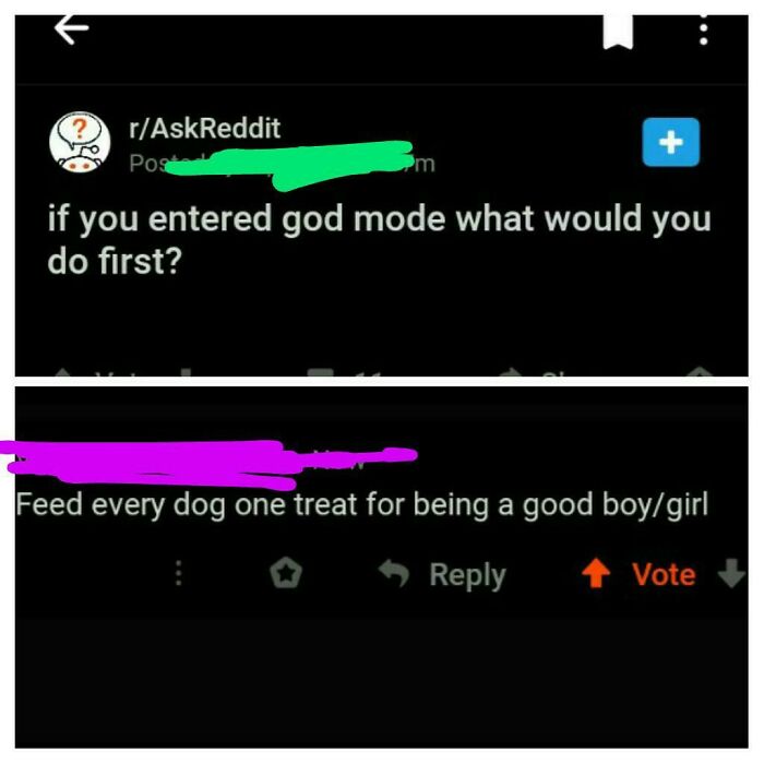 A wholesome Reddit post asking about god mode. One response states, "Feed every dog one treat for being a good boy/girl."