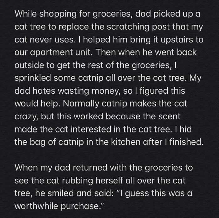 A wholesome story about a cat tree, catnip, and a happy dad. This pic hits harder with a wholesome twist!