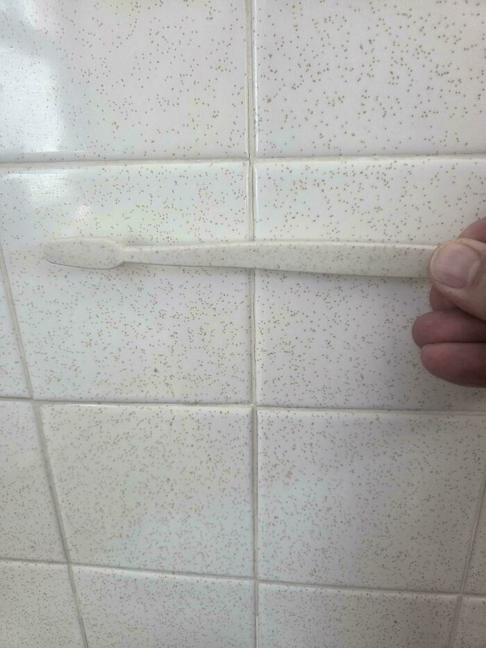 Satisfying accidental color match: a hand holding a speckled plastic spoon against similarly speckled white tiles. Lowers cortisol levels.