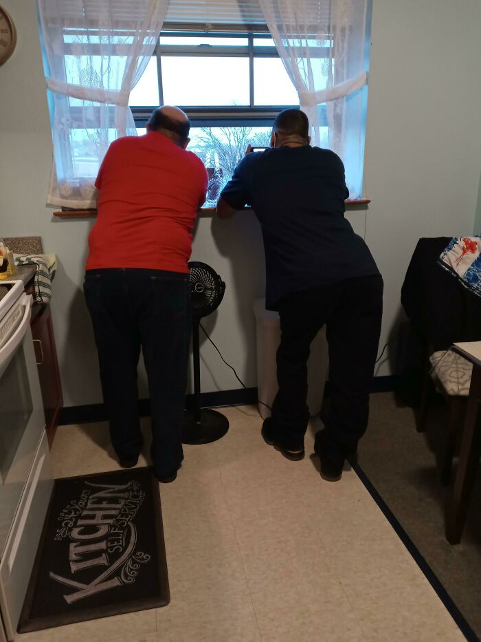 Two men look out a kitchen window, one with a phone. A wholesome pic capturing quiet observation.