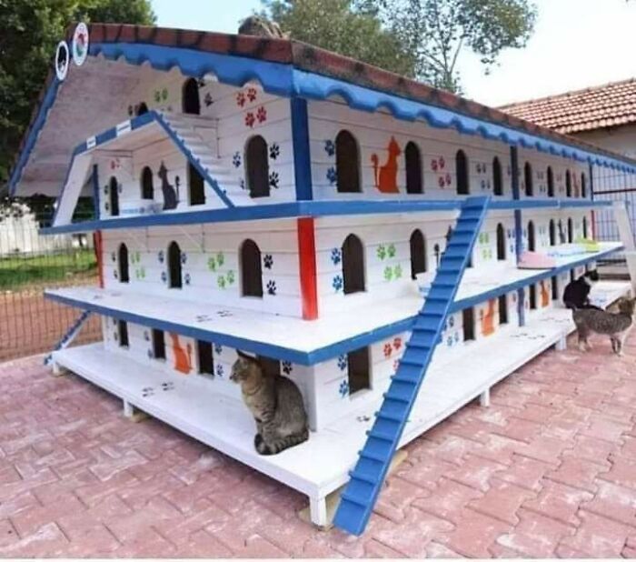 A wholesome pic of a large, multi-story cat house with multiple cats, featuring paw print and cat decals.