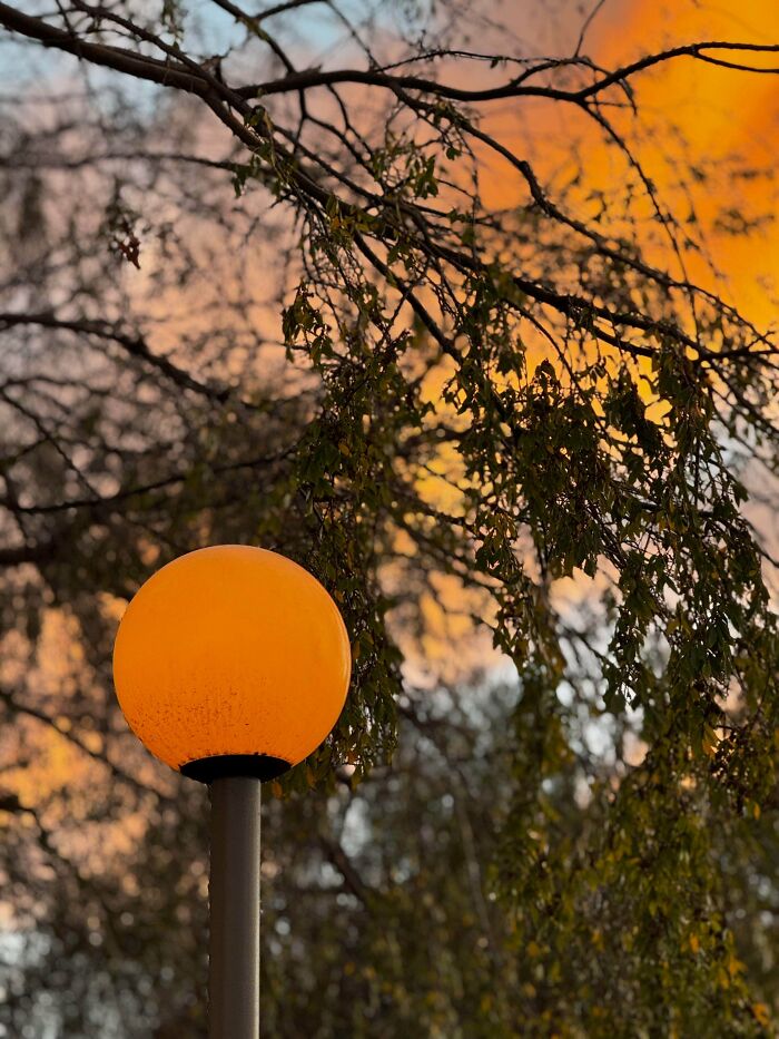 A vibrant orange street light perfectly matches the sunset sky in a beautiful accidental color match, lowering cortisol levels.