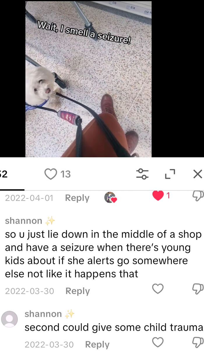 "Don't Have A Seizure In Public, It Will Traumatise Children"