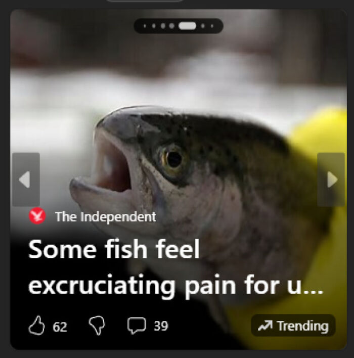 A fish with its mouth open, alongside a headline about fish pain. This image showcases premature truncation of sentences.