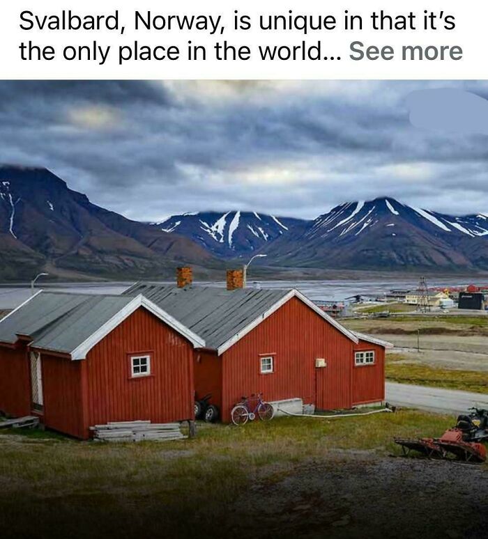 Huge If True