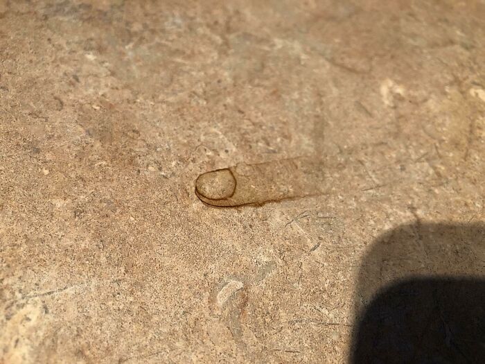 Pareidolia water droplet on stone resembles a human finger