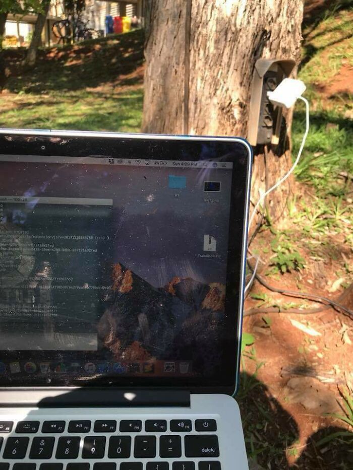 Laptop plugged into outdoor tree socket for charging in school yard