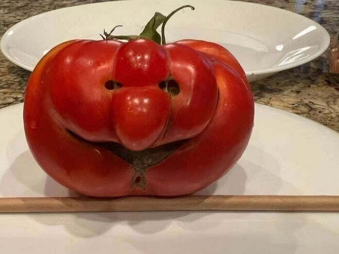 Tomato shaped like a smiling face due to pareidolia