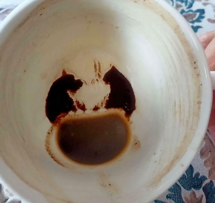 Coffee stain in a cup resembling a smiling face in pareidolia