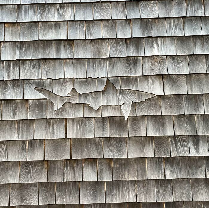 Wooden wall shingles with a cutout shape of a shark illustrating pareidolia