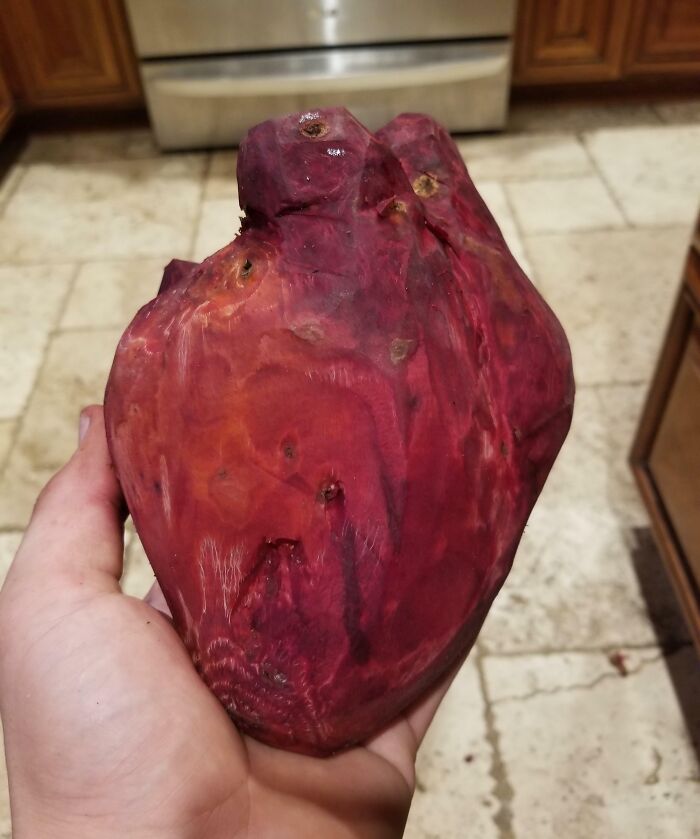 Sweet potato resembling a human heart showing pareidolia effect