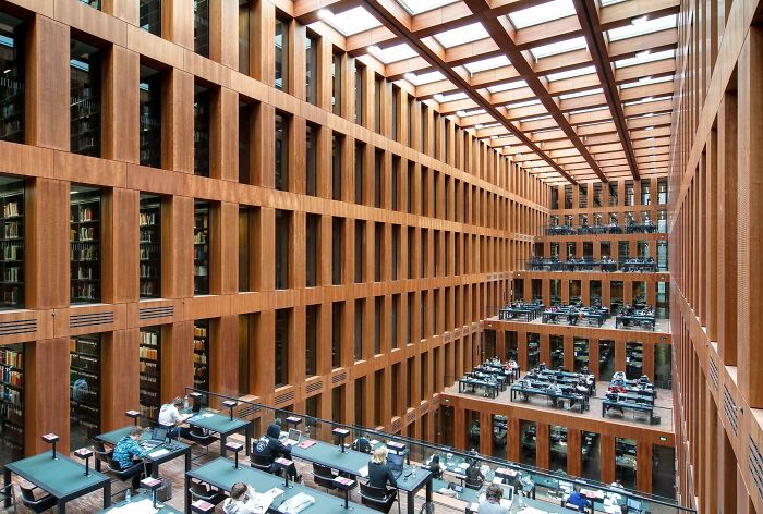 Modern university library with therapy cat among students studying at desks