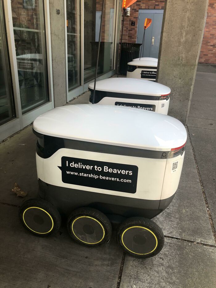 Autonomous delivery robot on campus with starship beavers label