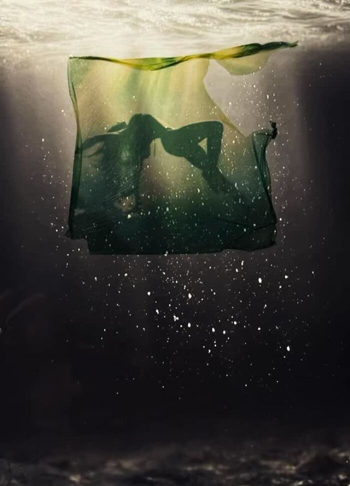 Polaroid Emulsion Lift Collage Anastasia Mez