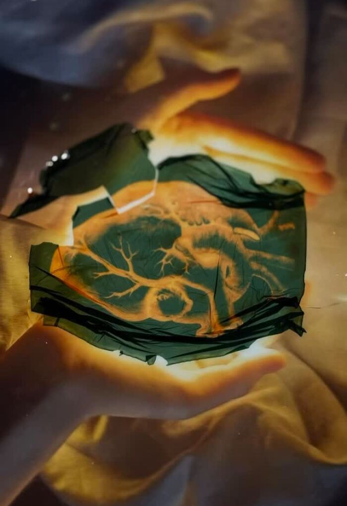 Polaroid Emulsion Lift Collage Anastasia Mez