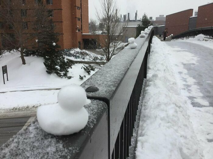 Small snow duck sculptures lined on snowy campus railing