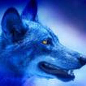 joshaker avatar