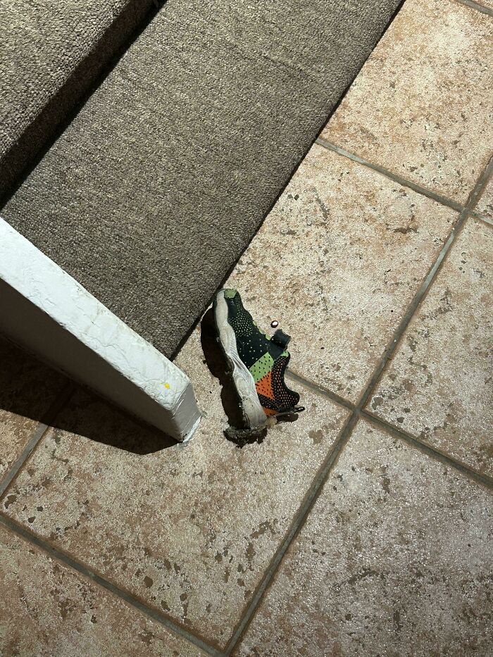 Single children's sneaker partially under stair carpet on tile floor