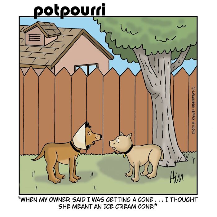 This Artist’s Dog Comics Perfectly Capture The Chaotic Joy Of Having A Pup (40 Pics)