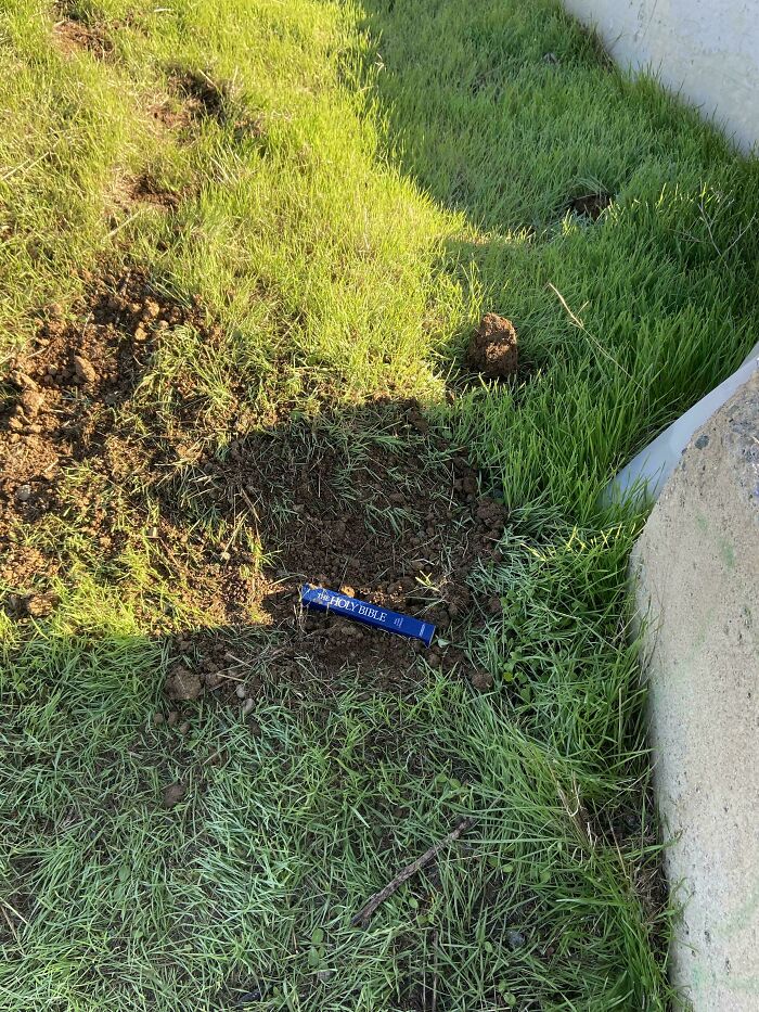 Small hole in grass with a Holy Bible underneath near concrete wall