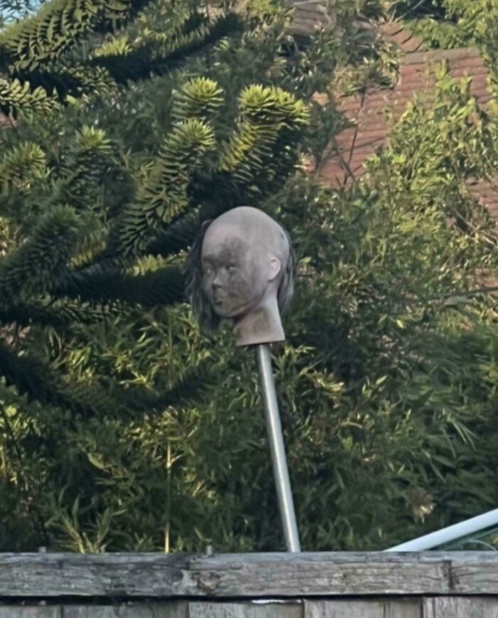 Mannequin head mounted on a pole in front of a leafy green background