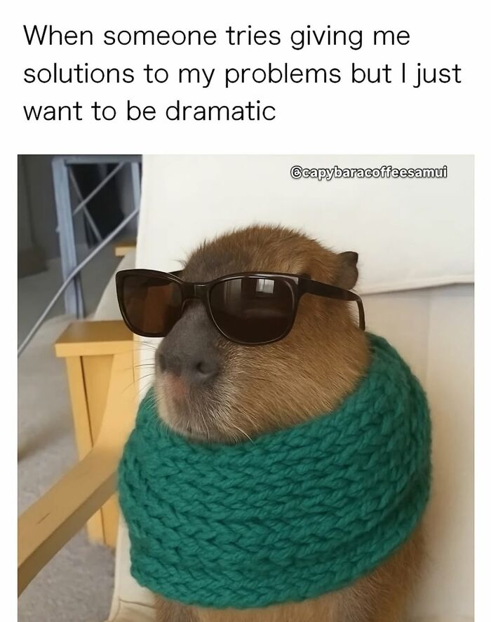 40 Funny And Wholesome Capybara Memes That Perfectly Capture The Internet’s Obsession With These Chill Animals
