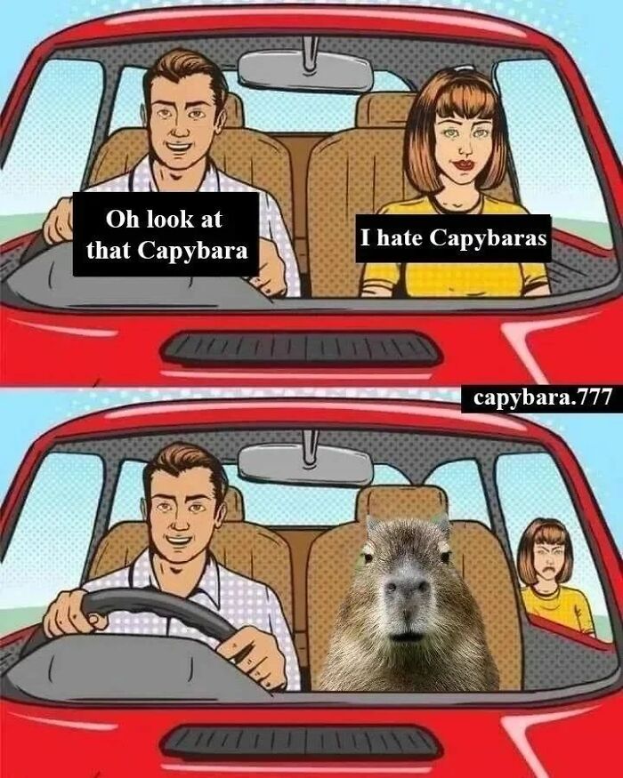 40 Funny And Wholesome Capybara Memes That Perfectly Capture The Internet’s Obsession With These Chill Animals