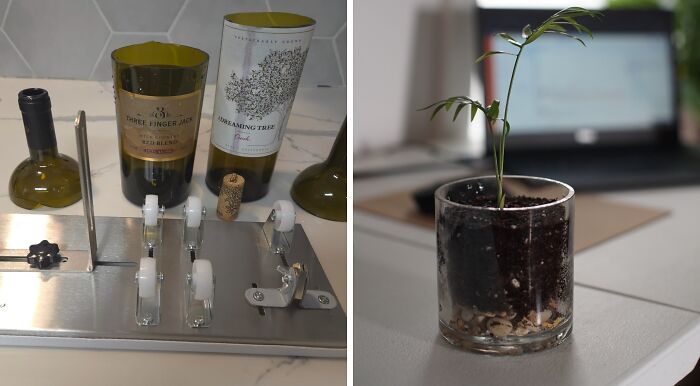 DIY Mother's Day Gifts: Recycled wine bottles turned into glasses and a small plant in a glass jar.