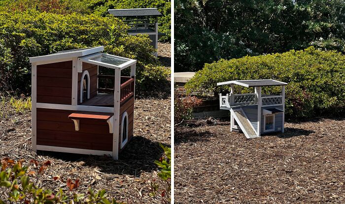 Miniature therapy cat houses set outdoors on mulch surrounded by greenery