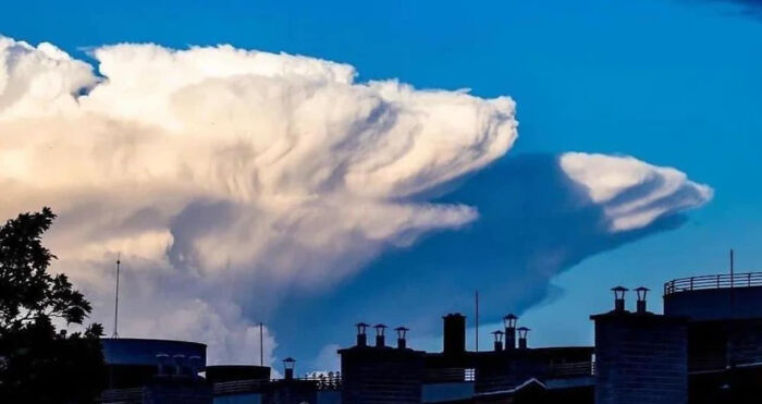 Cloud formation shaped like a fish head over a city illustrates pareidolia