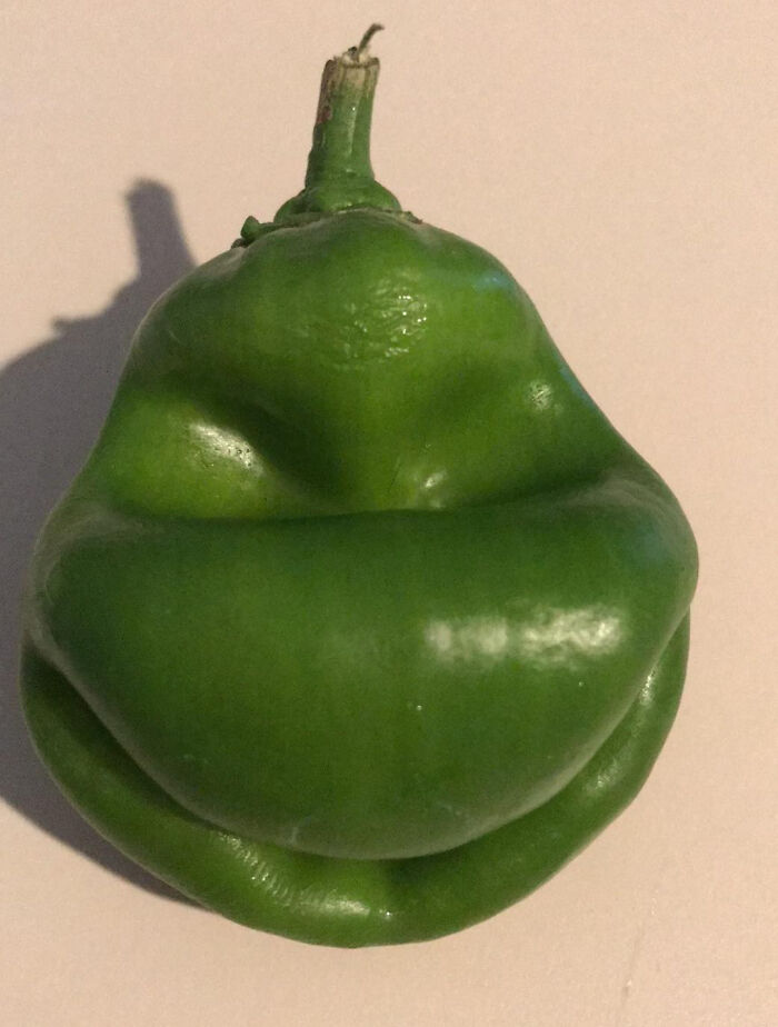 Green pepper shaped like a smiling face illustrating pareidolia