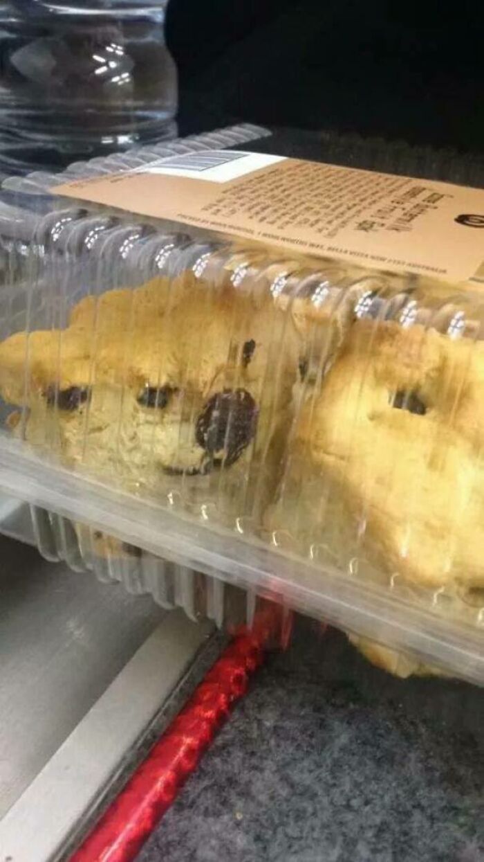 Cookies in packaging with faces resembling dogs pareidolia
