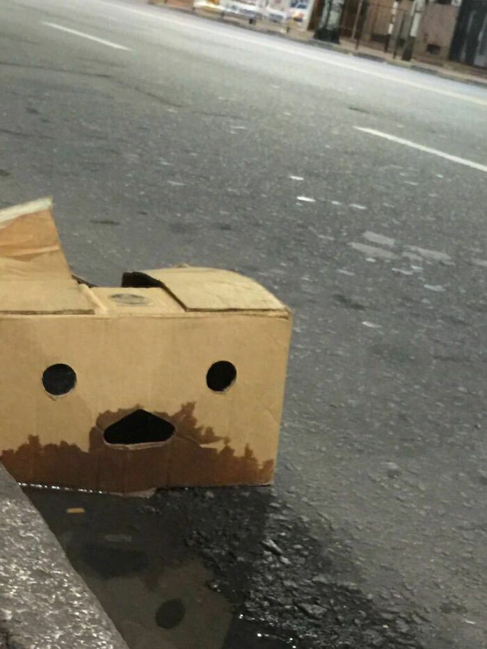 Wet cardboard box with holes resembling a surprised face pareidolia