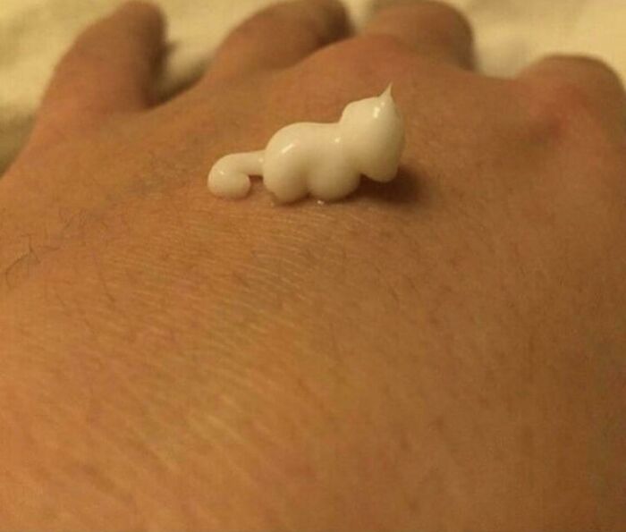 Small lotion dollop shaped like a cat on hand pareidolia