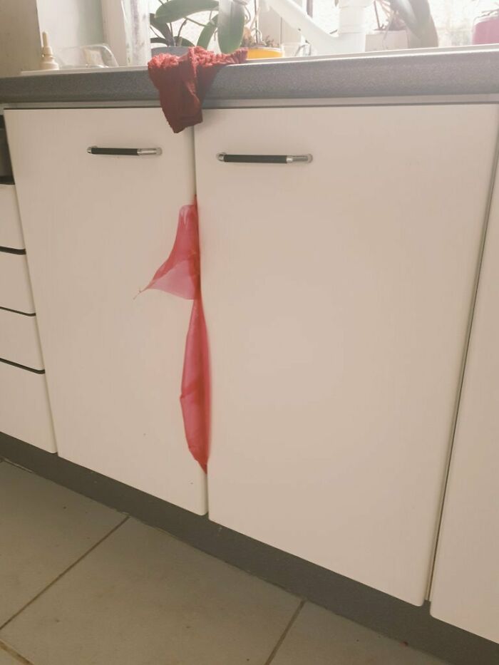 Plastic bag caught between cabinets forms a silhouette of a bird