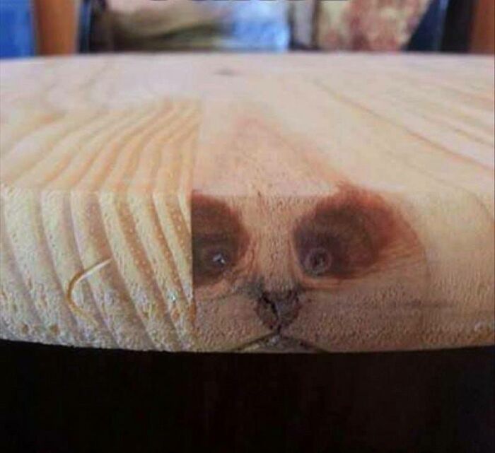 Wood grain pattern on a plank looks like a panda face from the side