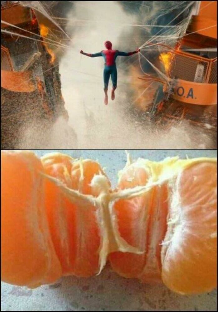 Segment of orange peel with strands resembling a Spider-Man pose pareidolia