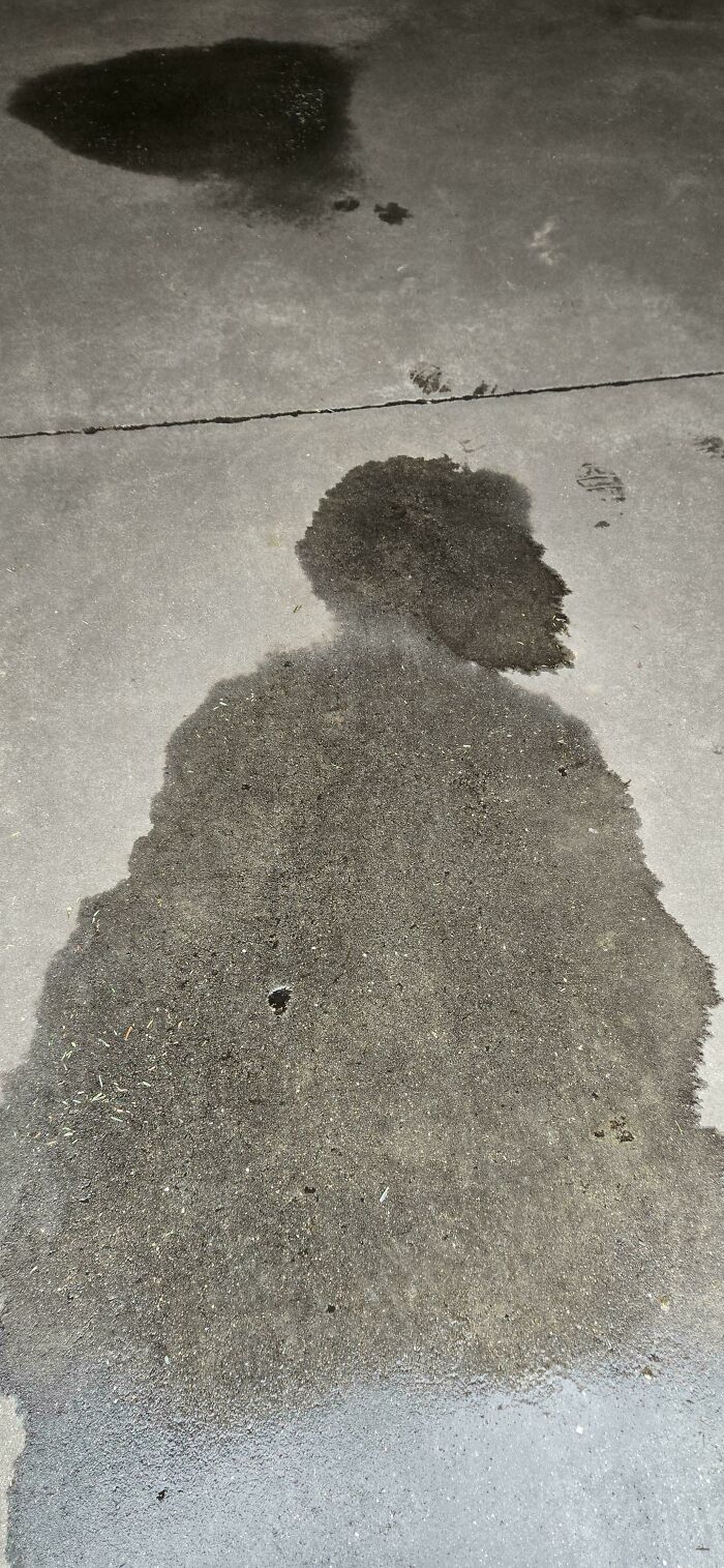 Wet concrete patch forming a human silhouette with hair-like pattern in pareidolia