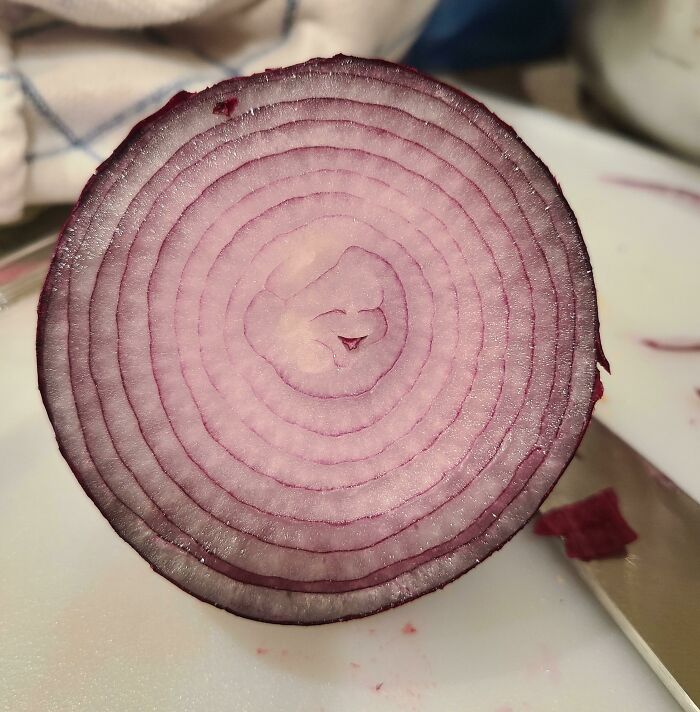 Red onion slice showing pareidolia face pattern