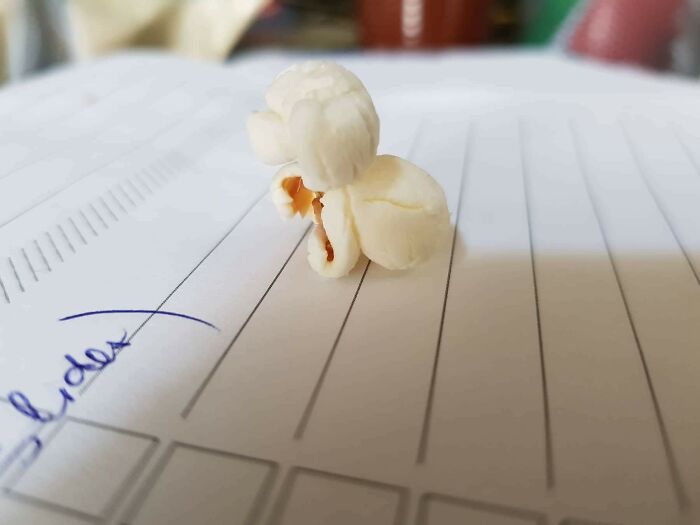 Popcorn kernel resembling a small animal shape on paper