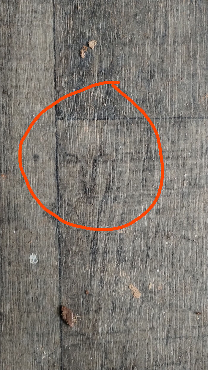Wood floor stain forming a face-like pattern highlighted in red circle